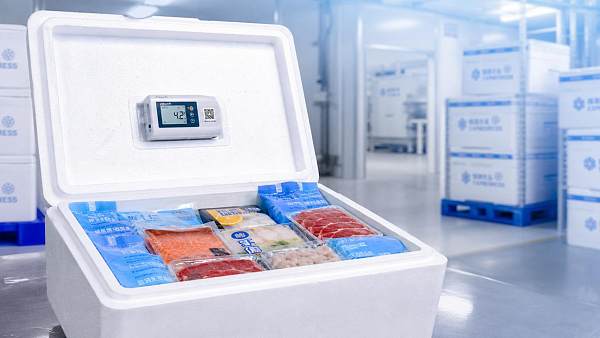 Cold Chain Packaging for Perishables: Insulation, Gel Packs, and Validation