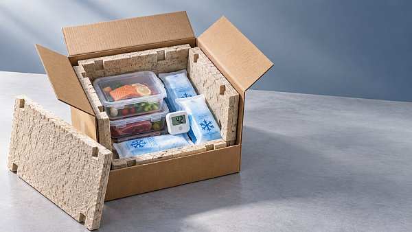 Sustainable Cold Chain Packaging: Balancing Thermal Performance and Recyclability