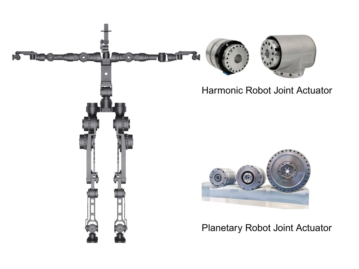 Varför är harmoniska robotledsaktuatorer och planetära robotledsaktuatorer de idealiska valen för över- respektive underlemmarna hos humanoida robotar?