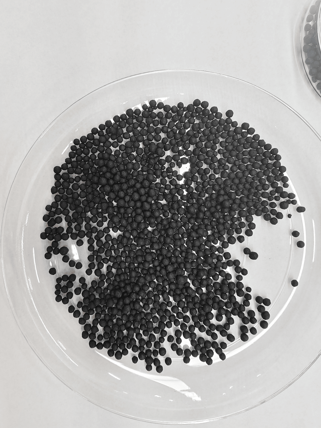 Organic Fertilizer