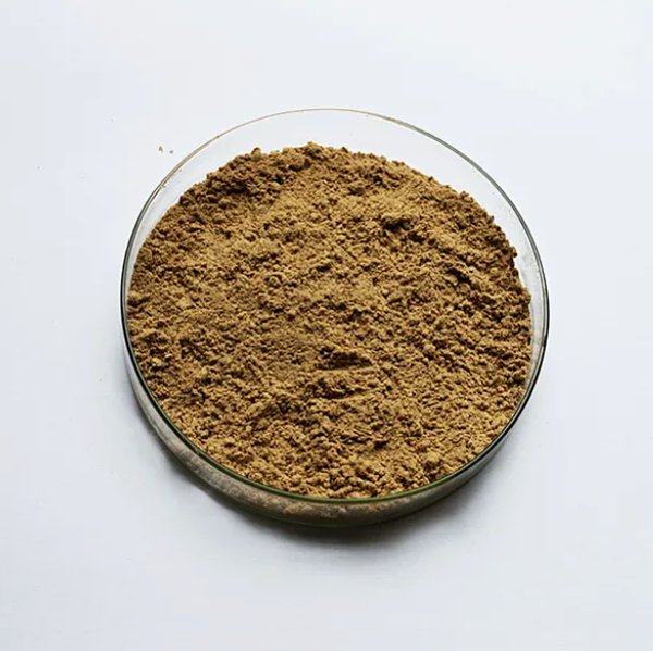 Agriculture Microbial Inoculants-Bacillus Megaterium Agriculture Microbial Inoculants-Bacillus Megaterium