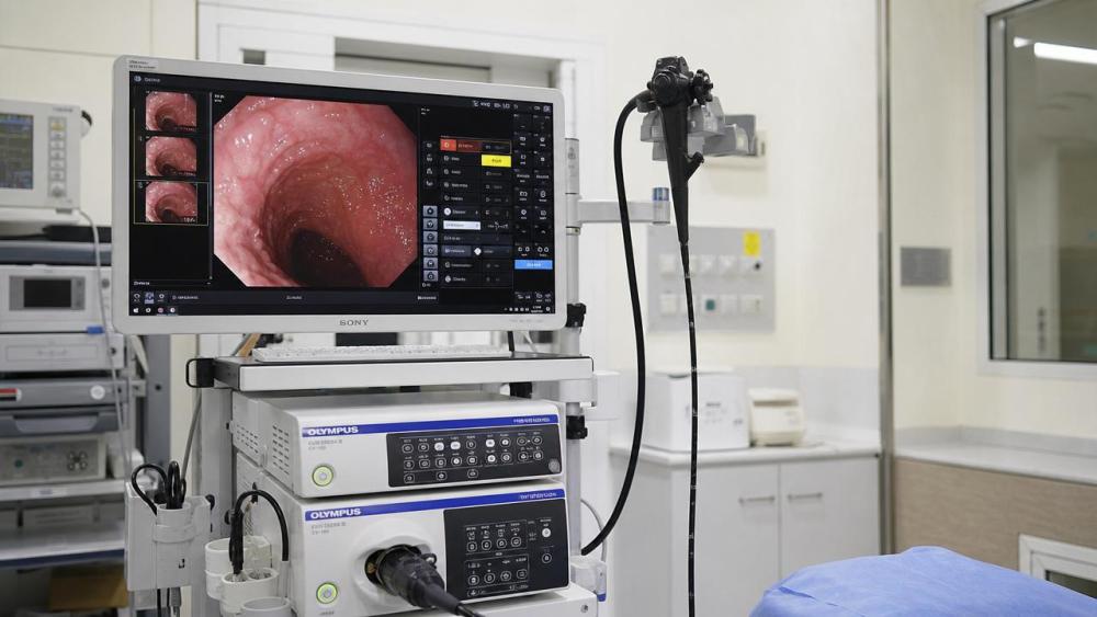 What matters most when choosing endoscopic imaging technology? What matters most when choosing endoscopic imaging technology?