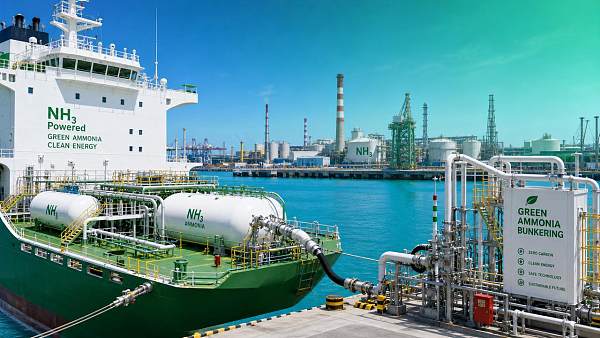 Can green ammonia fuel scale without raising shipping risk?