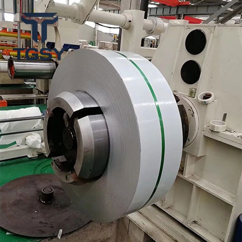 316 Stainless Strip