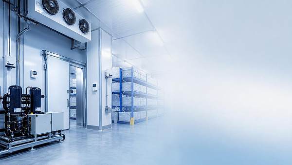 How Do Cold Storage Solutions Cut Energy Waste?