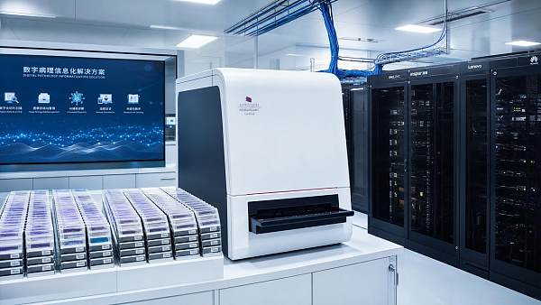 Tempus Open-Sources Paige IMS as Pathology AI Standards Advance