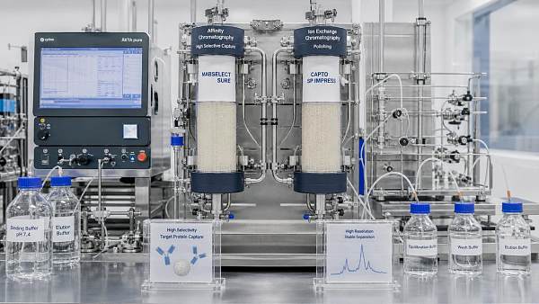 Biotech Purification Resins: When Affinity vs IEX Is the Better Process Choice