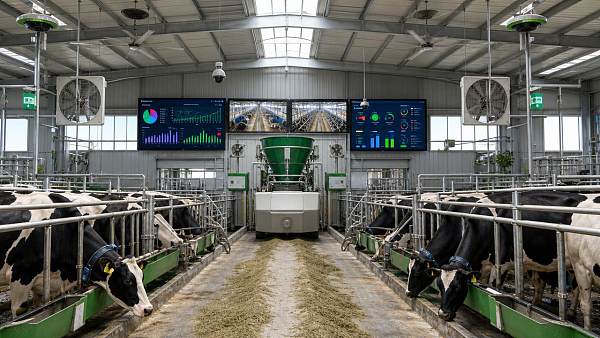 Precision Livestock Farming Cost Breakdown for 2026 Planning