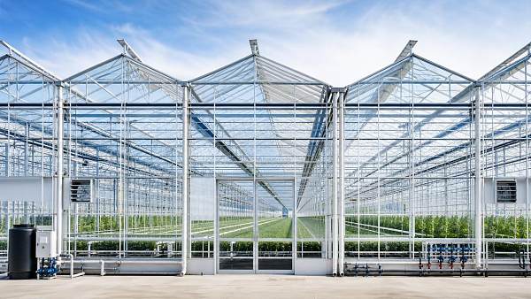 Venlo Glasshouse Structure: Key Design Choices for Climate and Yield