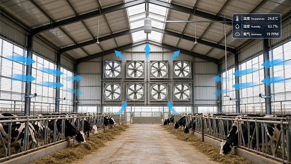 Barn Climate Control: Common Airflow Mistakes and How to Fix Them