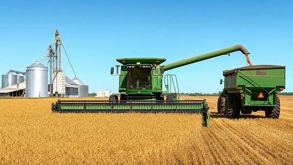 Harvest Timing Management: Practical Ways to Cut Losses and Protect Quality