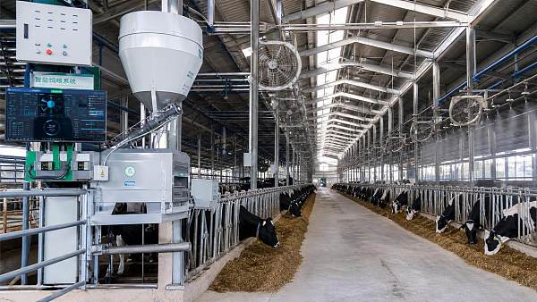 Smart Ranch Management Trends in 2026: Cost Control, Data, and Automation