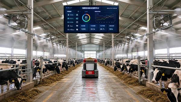 Precision Livestock Management Platform Features That Matter Most