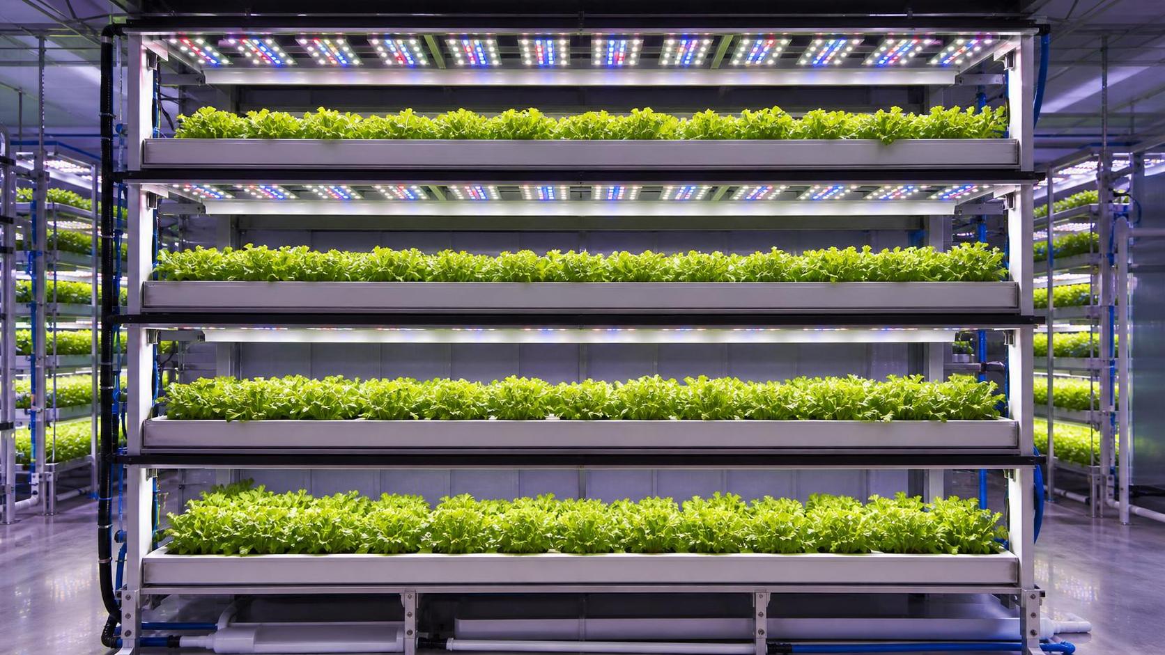 Photosynthetic LED Lighting: How Spectrum and PPFD Affect Crop Performance