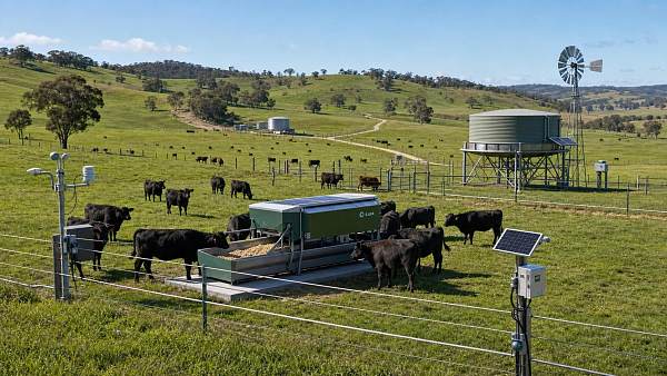 Smart Ranch Management in Australia: What Systems Actually Reduce Labor