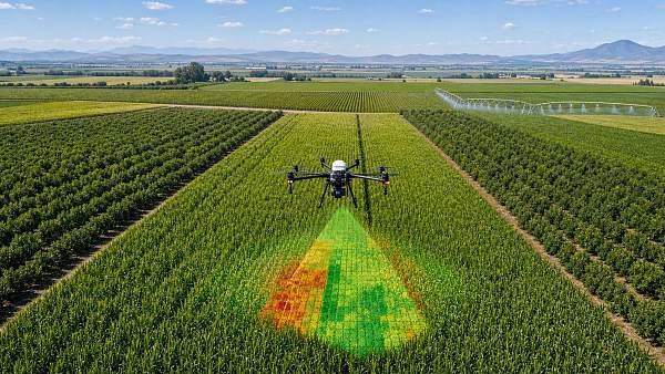 NDVI Mapping South Africa: When It Improves Field Decisions