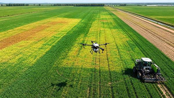 NDVI Mapping Analysis: What It Really Shows in Crop Scouting