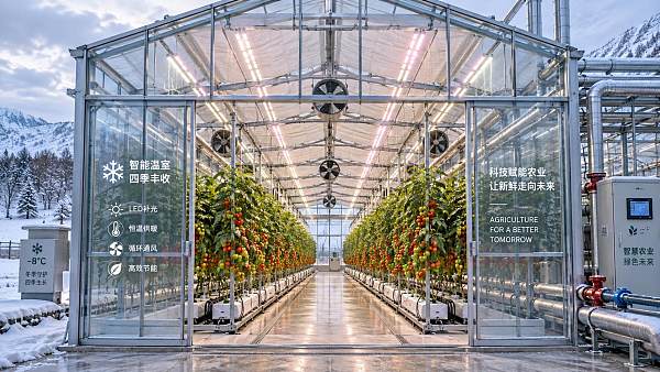 What drives energy costs in climate-controlled farming in Europe?