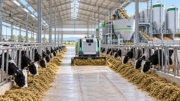 How automated livestock scheduling reduces missed feeding tasks