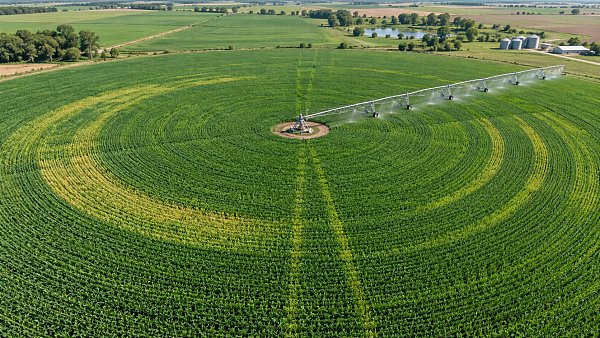 How NDVI crop analysis helps identify early water stress