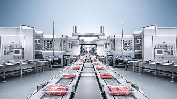 Meat Processing Systems: Common Throughput Bottlenecks and Fixes