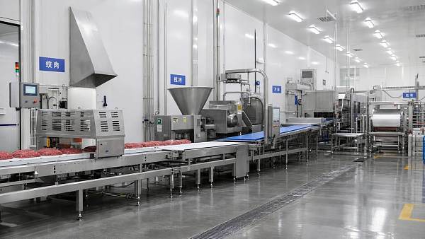 Meat Processing Systems: Key Equipment, Line Layout, and Selection Factors