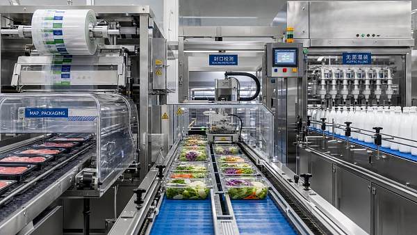 Food Packaging Innovation Ideas That Improve Shelf Life Without Slowing Line Speed