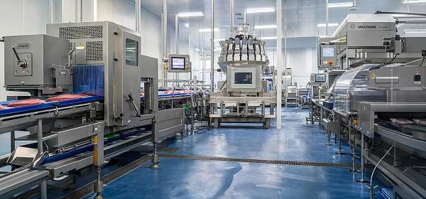 Meat Processing Line Design: Key Equipment, Hygiene Risks, and Throughput Planning