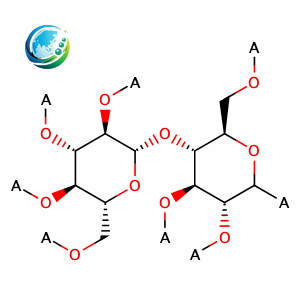 Hydroxypropyl Methylcellulose