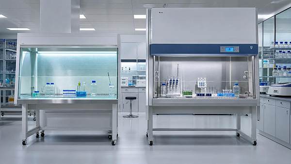 Clean Benches vs Biosafety Cabinets: What Matters in Daily Use