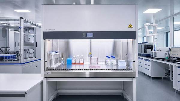 How Clean Benches Affect Sample Protection and Daily Workflow