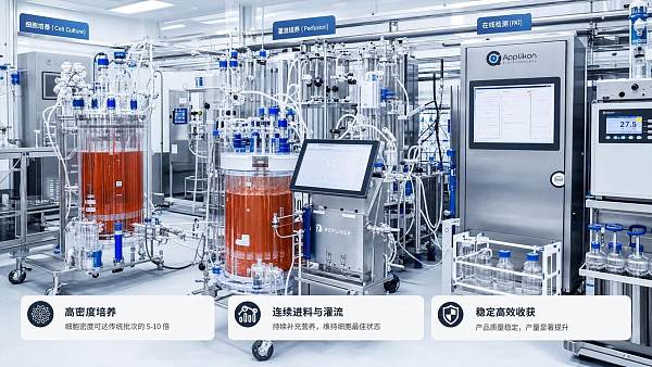 Cell Culture Scale-Up Solutions: When Perfusion Outperforms Fed-Batch