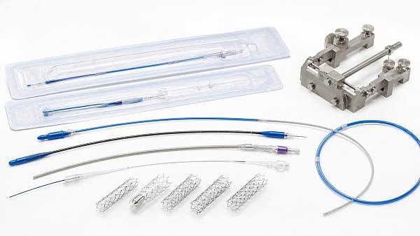 Cardiovascular Device Development Bottlenecks Before Submission