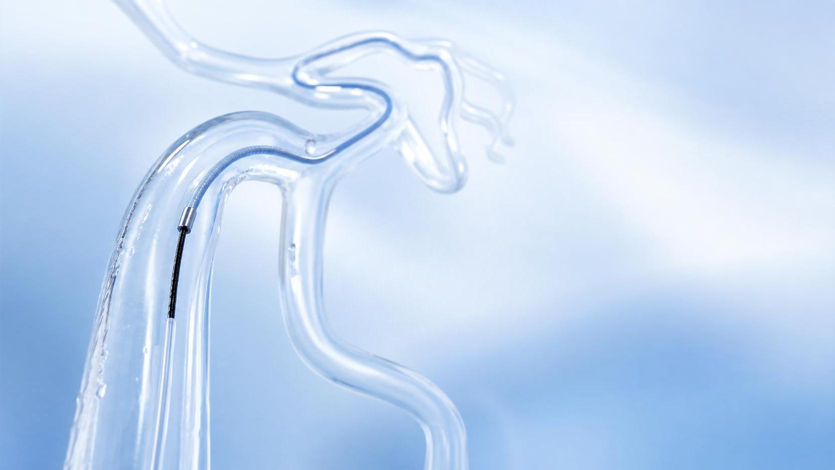 Medical Polymer Catheters: When Hydrophilic Design Improves Delivery