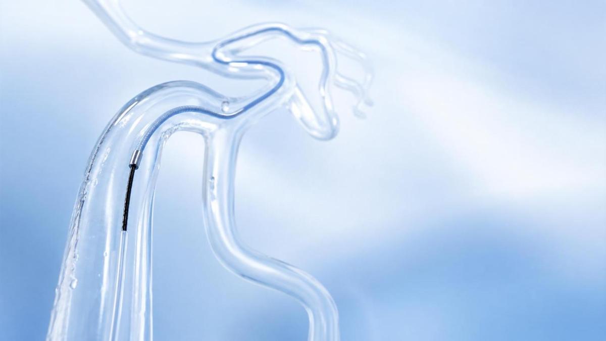 Medical Polymer Catheters: When Hydrophilic Design Improves Delivery Medical Polymer Catheters: When Hydrophilic Design Improves Delivery