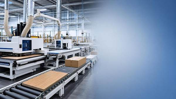 What the Whole-House Customization Wave Means for Factory Planning and Equipment Investment