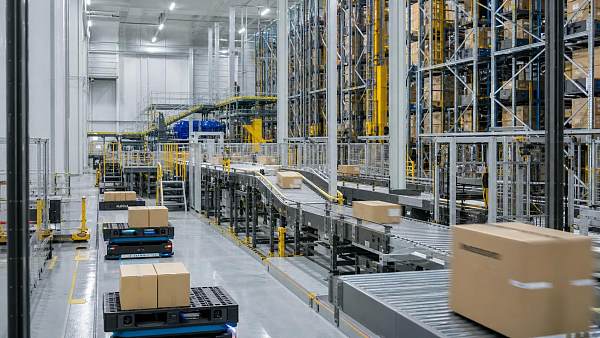 Warehouse Control Systems vs WMS: What Actually Improves Throughput?