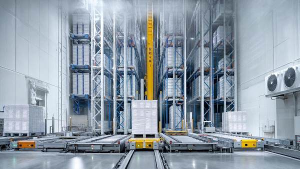 Automated Warehouse Systems for Cold Storage: Key Design Factors