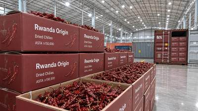 Rwanda's Dried Chilies Enter China Duty-Free, Accelerating Supply Chain Diversification for Capsanthin