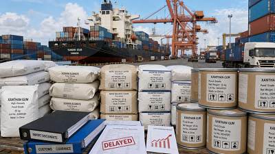 Myanmar Tariff Hike Pressures Thickener and Flavor Costs