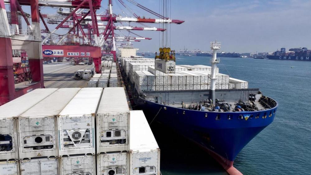 East China–Mediterranean Reefer Rates Jump 32%