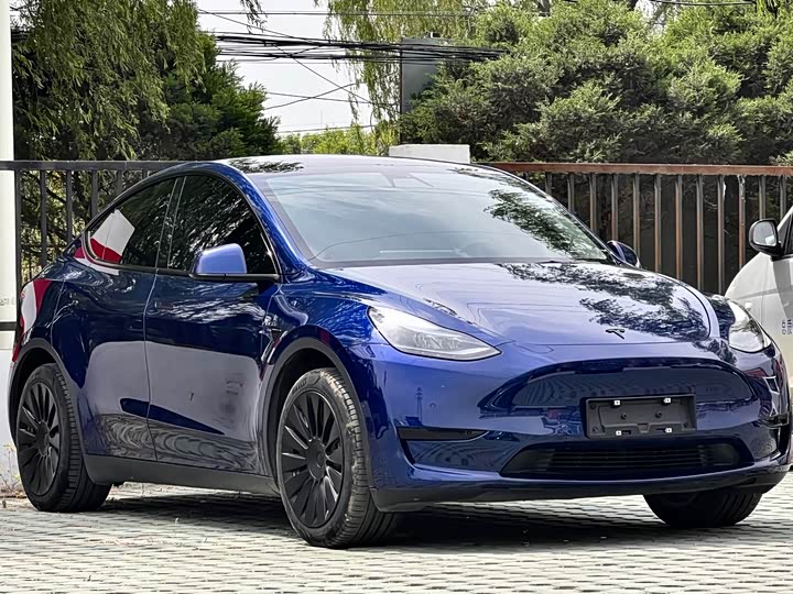 TESLA MODEL Y USADO