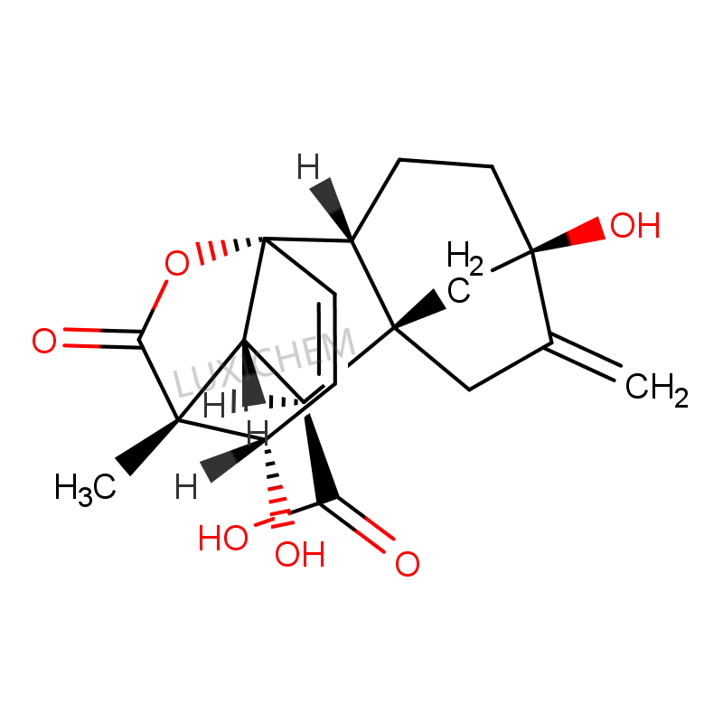 Extracto de Ginkgo biloba CAS#90045-36-6