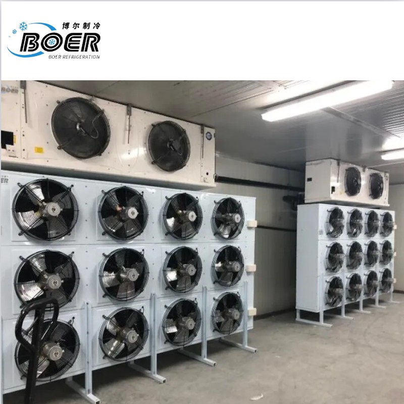 Frozen Cold Storage Unit1-5-1 (4) Frozen Cold Storage Unit1-5-1 (4)