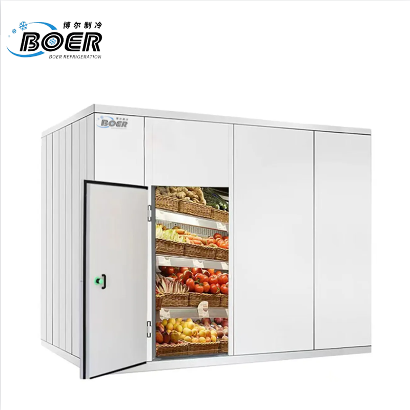 Standard Small Cold Storage Facility  1-1-2 800x800 (4)