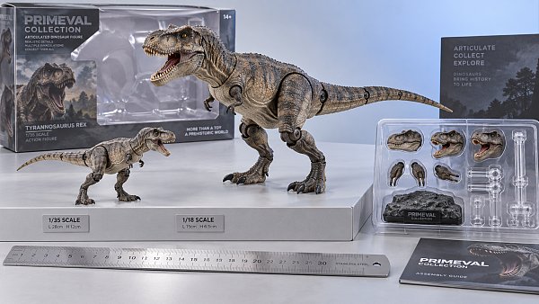 Buying Articulated Action Figures in the USA: Scale, Joints, and Authenticity
