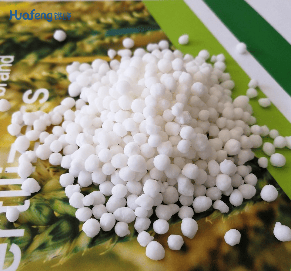 Granular Calcium Ammonium Nitrate (CAN) - 100% Water Soluble High-Efficiency Nitrogen Calcium Fertilizer Granular Calcium Ammonium Nitrate (CAN) - 100% Water Soluble High-Efficiency Nitrogen Calcium Fertilizer