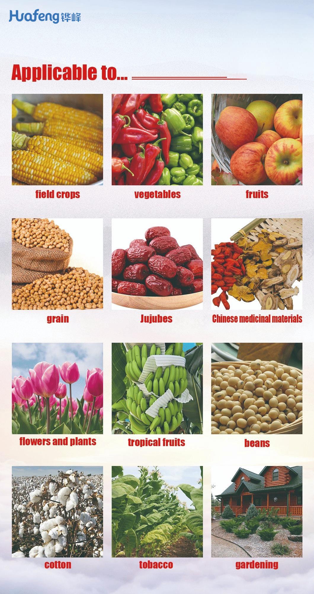 Organic Fertilizer