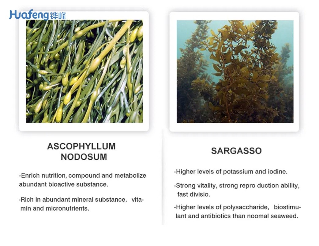 Foliar Fertilizer