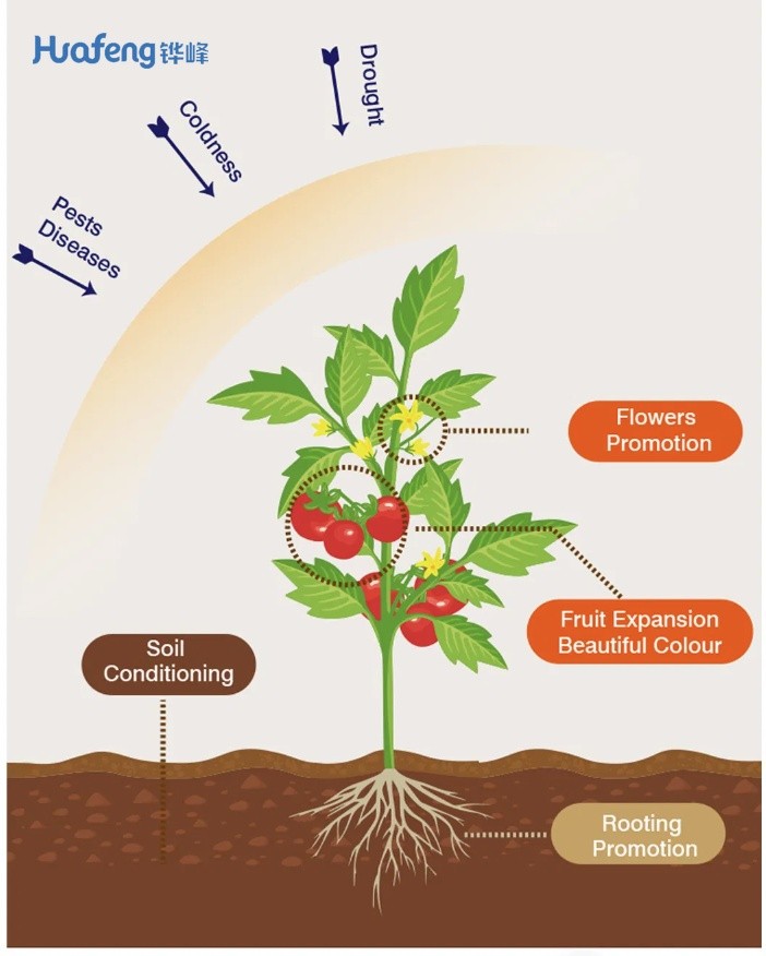 Foliar Fertilizer